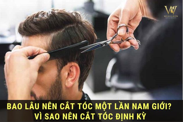 bao lâu nên cắt tóc 1 lần nam giới và vì sao nên cắt tóc định kì