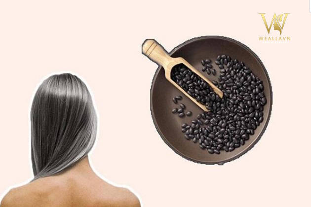 Sử dụng đậu đen giúp cải thiện tình trạng tóc bị bạc sớm