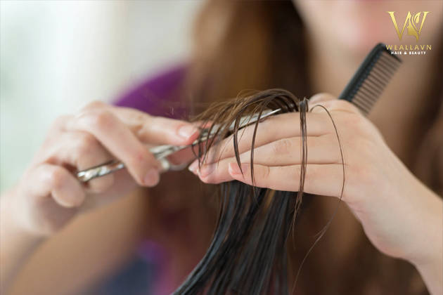 Hướng dẫn cách cắt tóc layer nữ tại nhà cực đơn giản