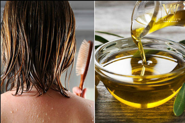 Thoa dầu oliu trực tiếp lên tóc