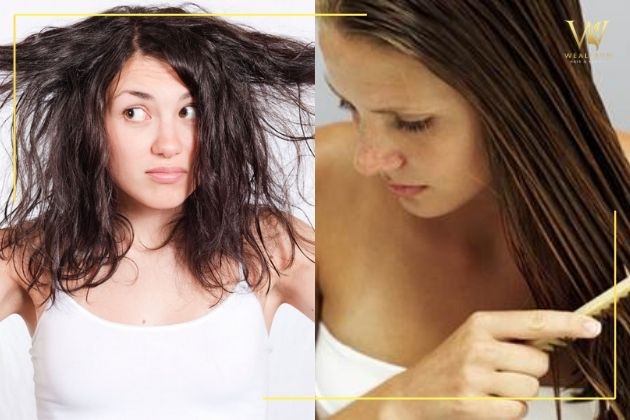 Bật mí 4 cách trị dứt điểm tóc bết từ nguyên liệu tự nhiên dễ làm