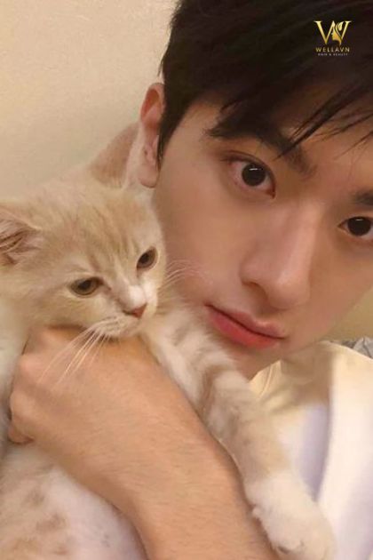 Hình ảnh trai đẹp cute bên cạnh bé mèo 