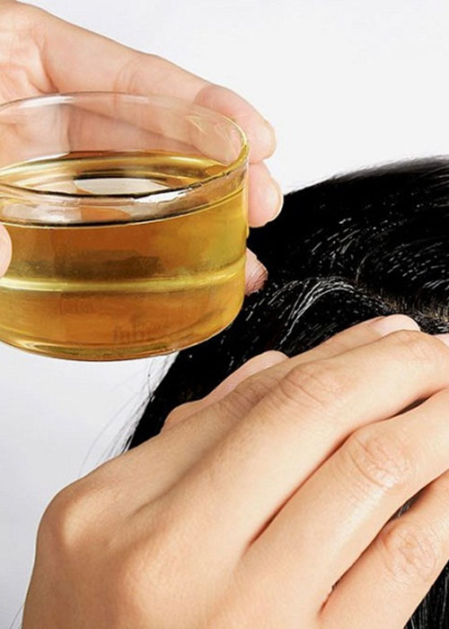Top 5 Cách gội đầu sạch gầu tại nhà ngăn ngừa tái phát Cách gội đầu trị gàu bằng dầu dừa