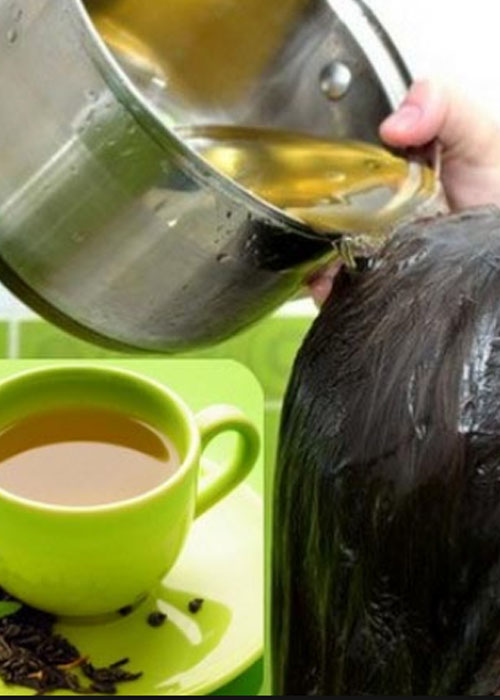 11+ Cách gội đầu lâu bết tại nhà đơn giản chị em truyền tai nhau Gội đầu bằng nước trà xanh
