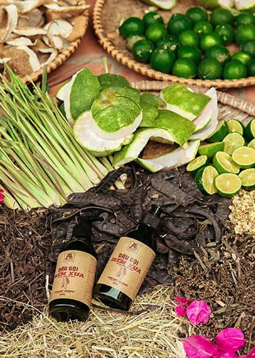 11+ Cách gội đầu lâu bết tại nhà đơn giản chị em truyền tai nhau Lựa chọn dầu gội thành phần thiên nhiên