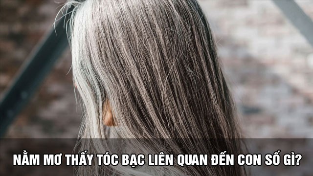 Nằm mơ thấy tóc bạc lành hay dữ | Liệu bạn đã biết Nằm mơ thấy tóc bạc liên quan đến con số gì?