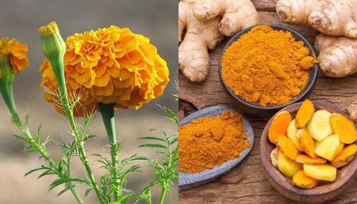 Hô biến 5 cách làm tóc vàng mà không cần nhuộm từ thiên nhiên Nhuộm tóc vàng với hoa cúc