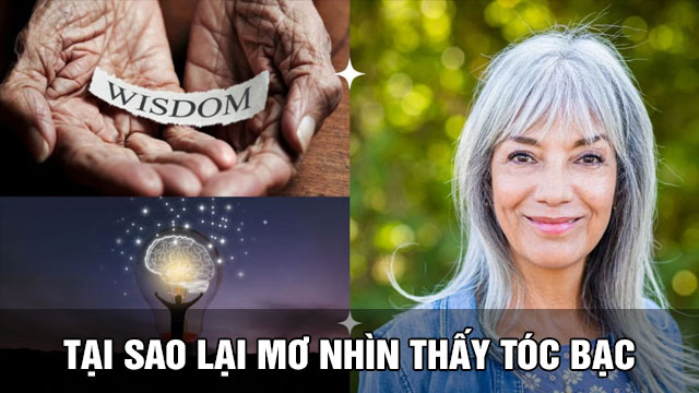 Nằm mơ thấy tóc bạc lành hay dữ | Liệu bạn đã biết Tại sao lại mơ nhìn thấy tóc bạc