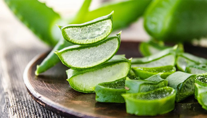 cách gội đầu với nha đam