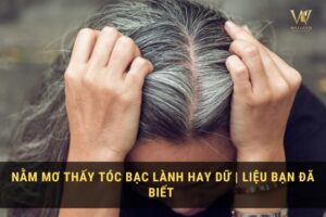 nam mo thay20 toc bac 1