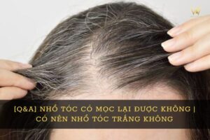 Nhổ tóc bạc có mọc lại không