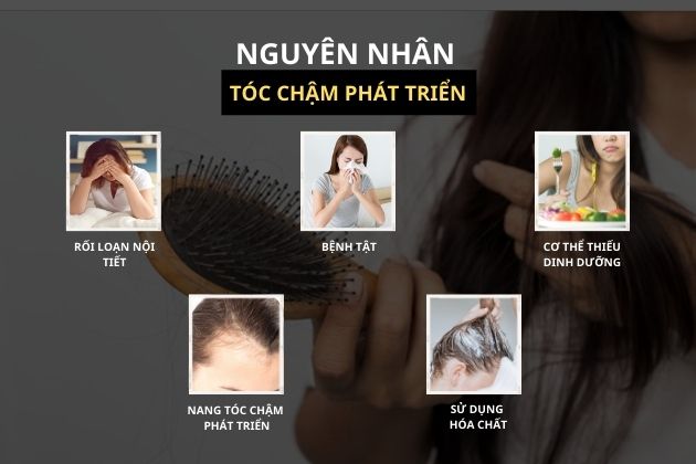 Lý do khiến tóc mọc chậm và nhanh rụng