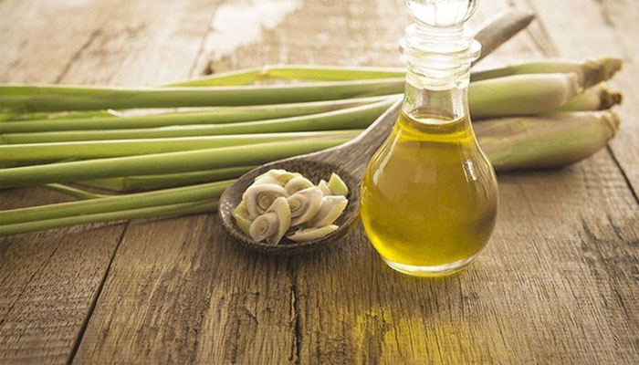 Tiết lộ 10 cách ủ tóc bằng dầu oliu giúp tóc mềm mượt sau 1 tuần Ủ tóc bằng dầu oliu và sả