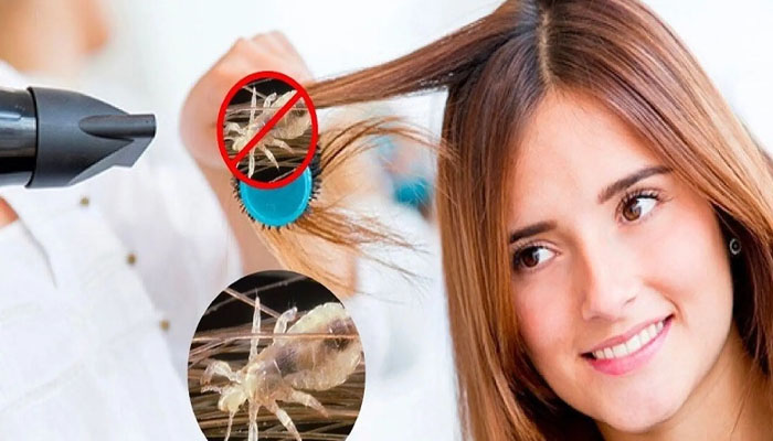 Top 3 cách diệt trứng chấy | An toàn và hiệu quả nhất bằng máy sấy tóc