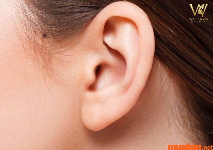 Liệu nốt ruồi trên tóc có mang lại điều tốt hay xấu theo nhân tướng học?