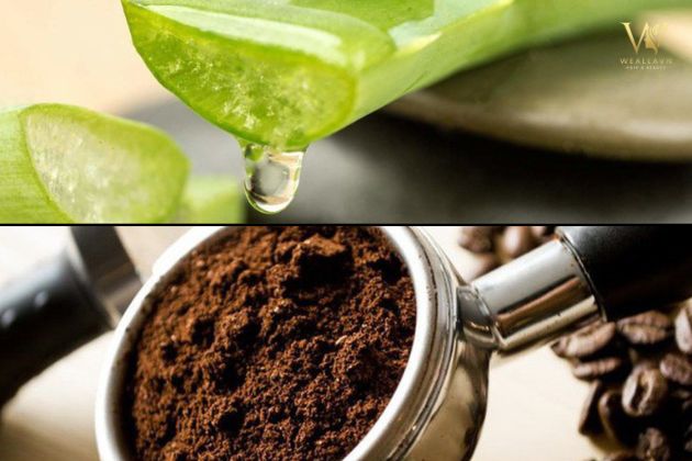 gội đầu bằng cà phê