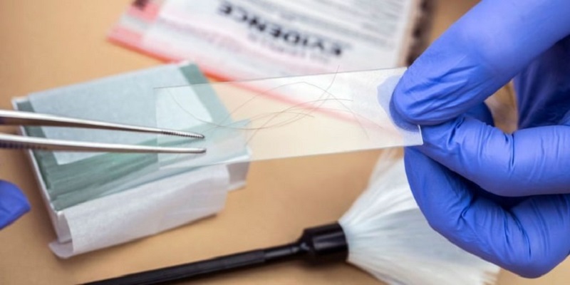 Cách lấy mẫu tóc xét nghiệm ADN