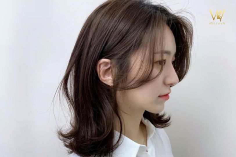 Mái chữ S