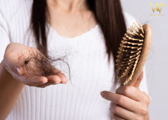 Tổng hợp 3 Cách dưỡng tóc bằng nha đam | Phục hồi tóc xơ rối Cách dưỡng tóc bằng nha đam