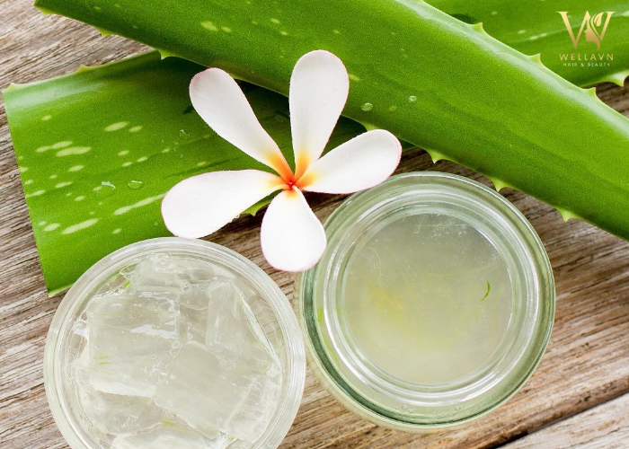 Tổng hợp 3 Cách dưỡng tóc bằng nha đam | Phục hồi tóc xơ rối Cách dưỡng tóc bằng nha đam