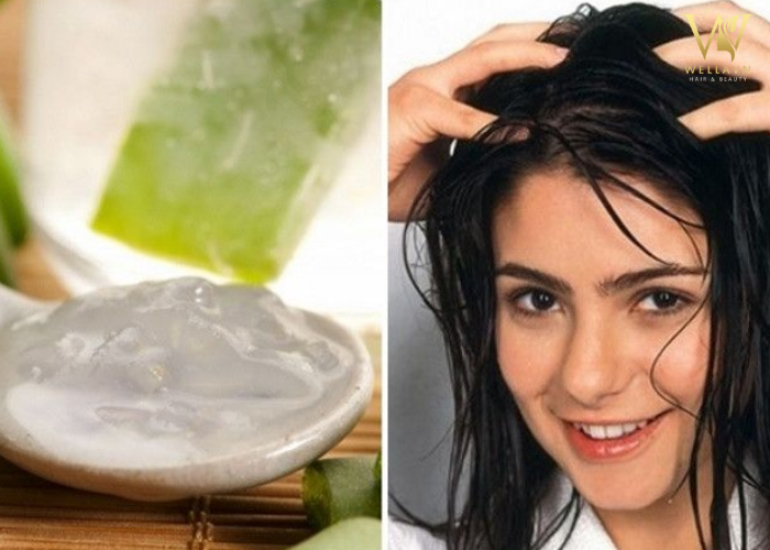 Tổng hợp 3 Cách dưỡng tóc bằng nha đam | Phục hồi tóc xơ rối Cách dưỡng tóc bằng nha đam