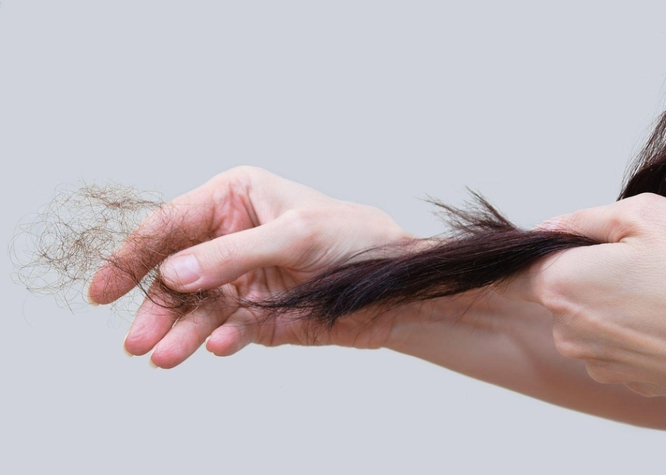 Cách dưỡng tóc mềm mượt, giảm hư tổn tại nhà cách dưỡng tóc mềm mượt tại nhà