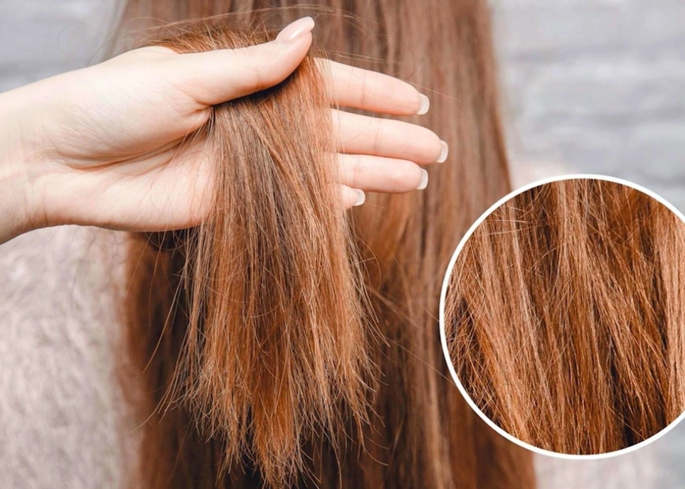 Cách dưỡng tóc mềm mượt, giảm hư tổn tại nhà cách dưỡng tóc mềm mượt tại nhà