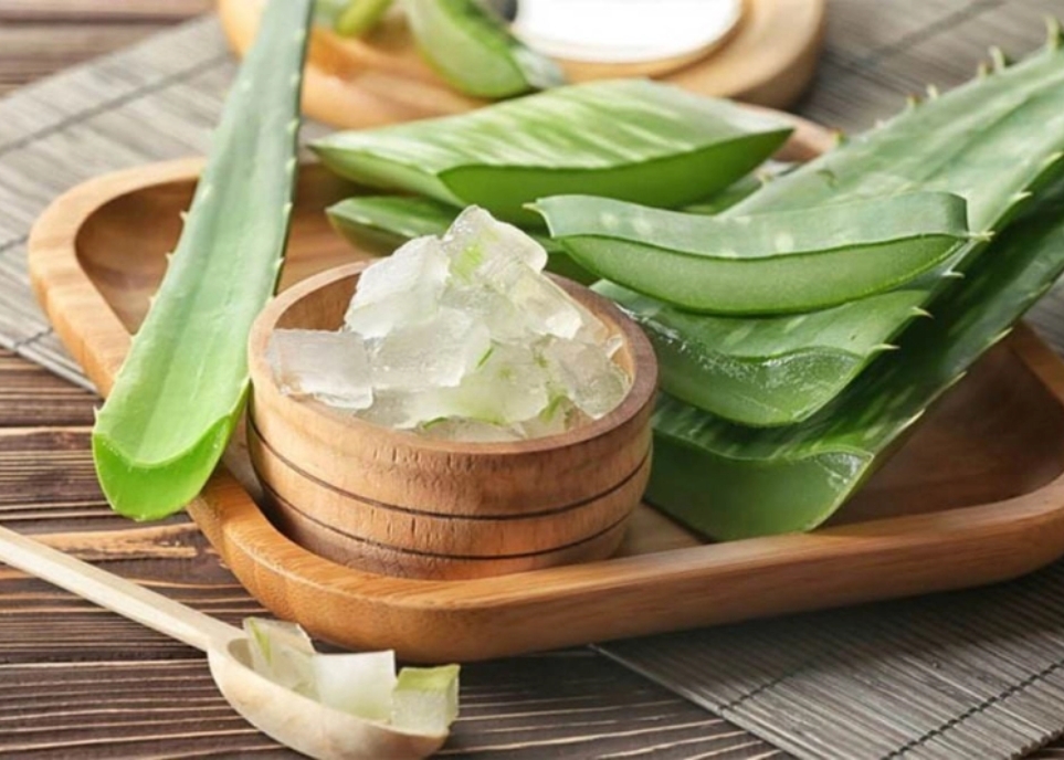 Cách làm tóc mềm mượt bằng nha đam hiệu quả không tưởng cách làm tóc mềm mượt bằng nha đam