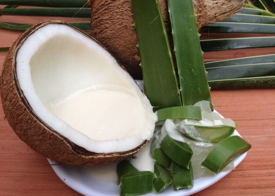Cách làm tóc mềm mượt bằng nha đam hiệu quả không tưởng cách làm tóc mềm mượt bằng nha đam