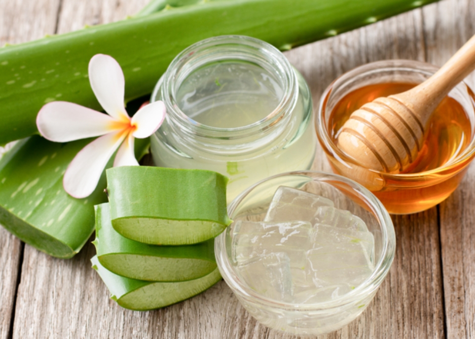 Cách làm tóc mềm mượt bằng nha đam hiệu quả không tưởng cách làm tóc mềm mượt bằng nha đam