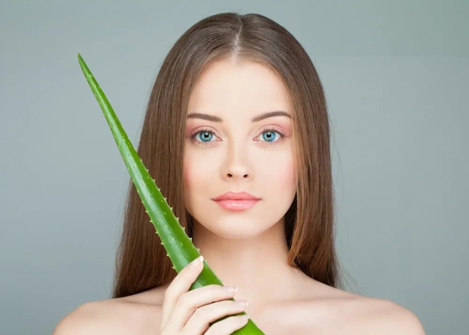 Cách làm tóc mềm mượt bằng nha đam hiệu quả không tưởng cách làm tóc mềm mượt bằng nha đam