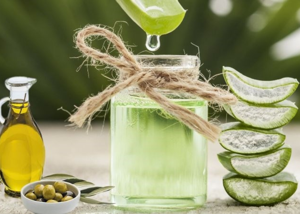 Cách làm tóc mềm mượt bằng nha đam hiệu quả không tưởng cách làm tóc mềm mượt bằng nha đam