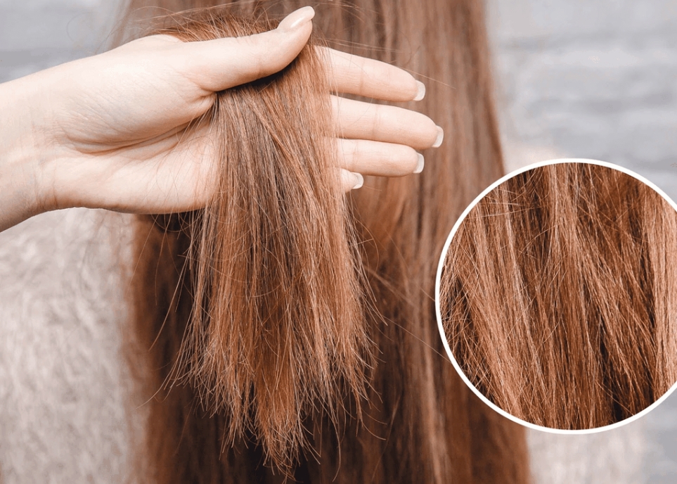 Cách phục hồi tóc tẩy tại nhà cực hiệu quả cách phục hồi tóc tẩy