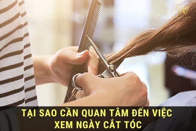 xem lịch cắt tóc 2025