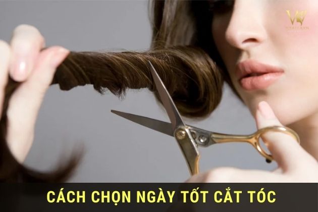 Xem lịch cắt tóc 2025