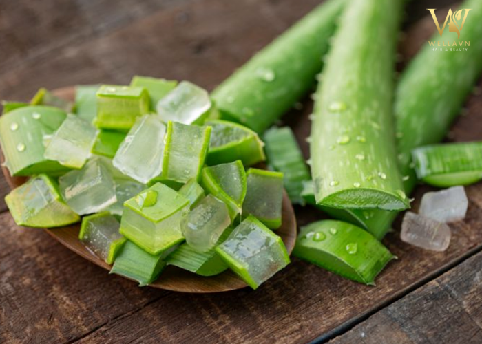 Bỏ túi 5 Cách phục hồi tóc hư tổn tại nhà | Tóc khỏe săn chắc Cách phục hồi tóc hư tổn