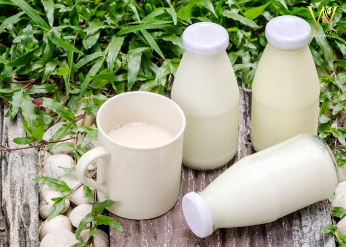 Bỏ túi 5 Cách phục hồi tóc hư tổn tại nhà | Tóc khỏe săn chắc Cách phục hồi tóc hư tổn