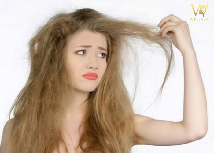 Bỏ túi 5 Cách phục hồi tóc hư tổn tại nhà | Tóc khỏe săn chắc Cách phục hồi tóc hư tổn
