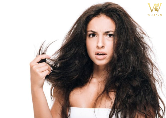 Bỏ túi 5 Cách phục hồi tóc hư tổn tại nhà | Tóc khỏe săn chắc Cách phục hồi tóc hư tổn