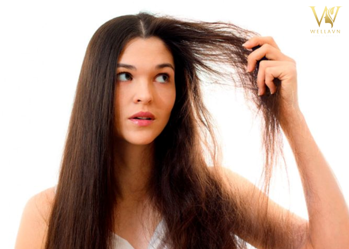 Bỏ túi 5 Cách phục hồi tóc hư tổn tại nhà | Tóc khỏe săn chắc Cách phục hồi tóc hư tổn
