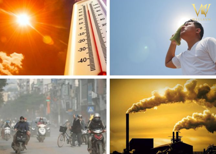 Bỏ túi 5 Cách phục hồi tóc hư tổn tại nhà | Tóc khỏe săn chắc Cách phục hồi tóc hư tổn