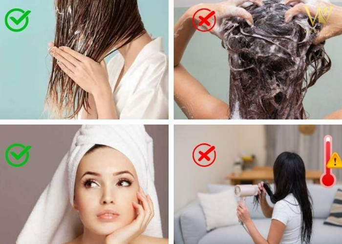 Bỏ túi 5 Cách phục hồi tóc hư tổn tại nhà | Tóc khỏe săn chắc Cách phục hồi tóc hư tổn
