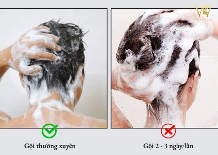 Bỏ túi 5 Cách phục hồi tóc hư tổn tại nhà | Tóc khỏe săn chắc Cách phục hồi tóc hư tổn