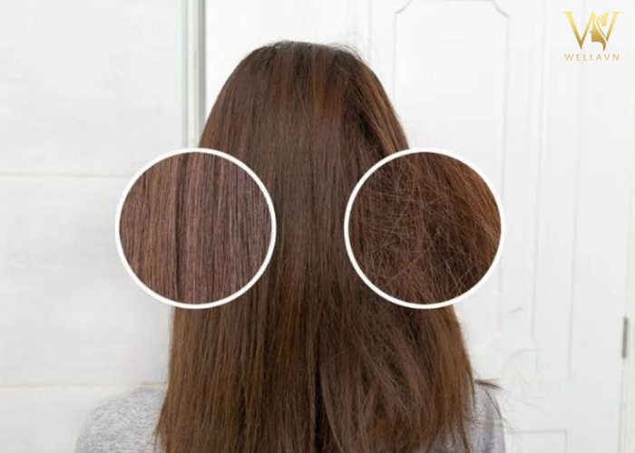 Tóc rễ tre nữ nên cắt kiểu gì vừa trẻ xinh vừa che khuyết điểm? Tóc rễ tre nữ nên cắt kiểu gì