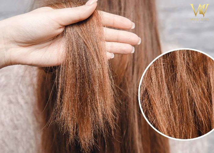 Tóc rễ tre nữ nên cắt kiểu gì vừa trẻ xinh vừa che khuyết điểm? Tóc rễ tre nữ nên cắt kiểu gì