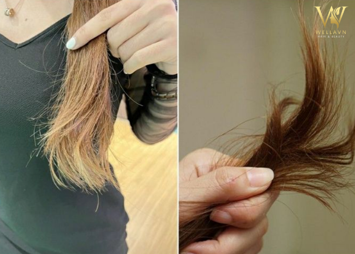 Tóc rễ tre nữ nên cắt kiểu gì vừa trẻ xinh vừa che khuyết điểm? Tóc rễ tre nữ nên cắt kiểu gì