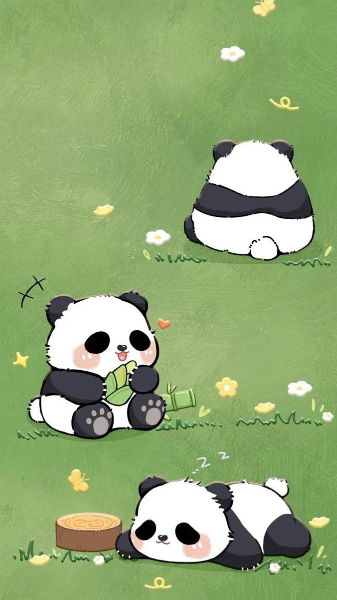 Top 100+ Ảnh Gấu Trúc Chibi Cute Nhìn Là Mê Gấu trúc chibi avatar cute