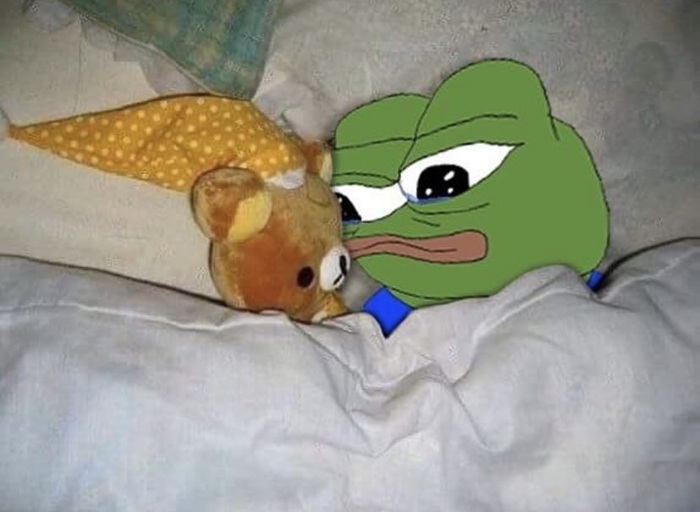 102+ Ảnh Meme Ếch Xanh Pepe Biểu Cảm Mặn Mòi Siêu Hài Hước Meme ếch xanh hài hước ôm gấu ngủ