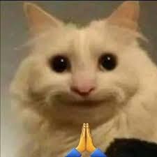 Top 50+ Meme Mèo Bựa Hài Hước Và Ngáo Ngơ Nhất meme mèo bựa lầy lội cho comment