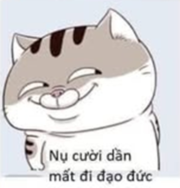 Top 50+ Meme Mèo Bựa Hài Hước Và Ngáo Ngơ Nhất meme mèo bựa phong cách cà khịa
